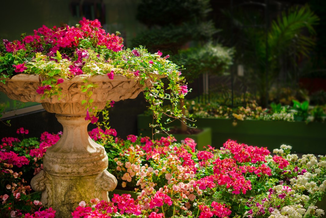 0504-garden-670516