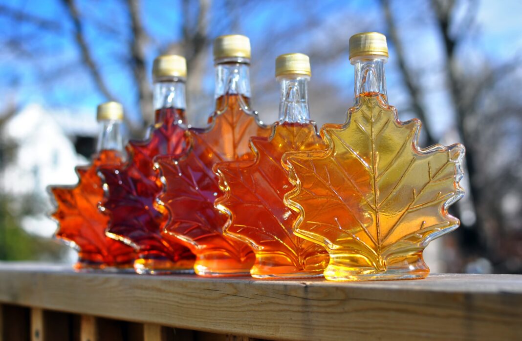 Different,Colour,Variatons,Of,Maple,Syrup,Made,By,A,Backyard