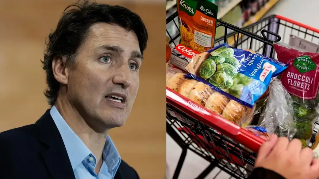 TRUDEAU_GROCERIES_VMS