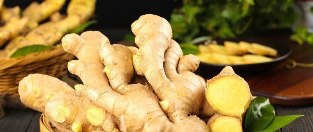 ginger.fi_