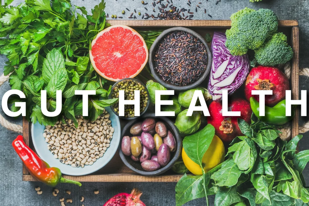 gut-health