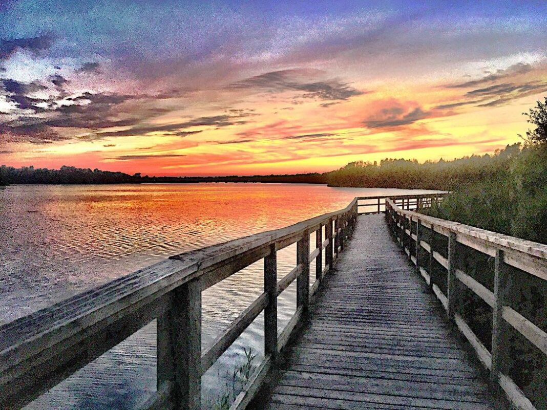 5.-Mel-Stewart-—-Lake-Gibson-Conservation-Park