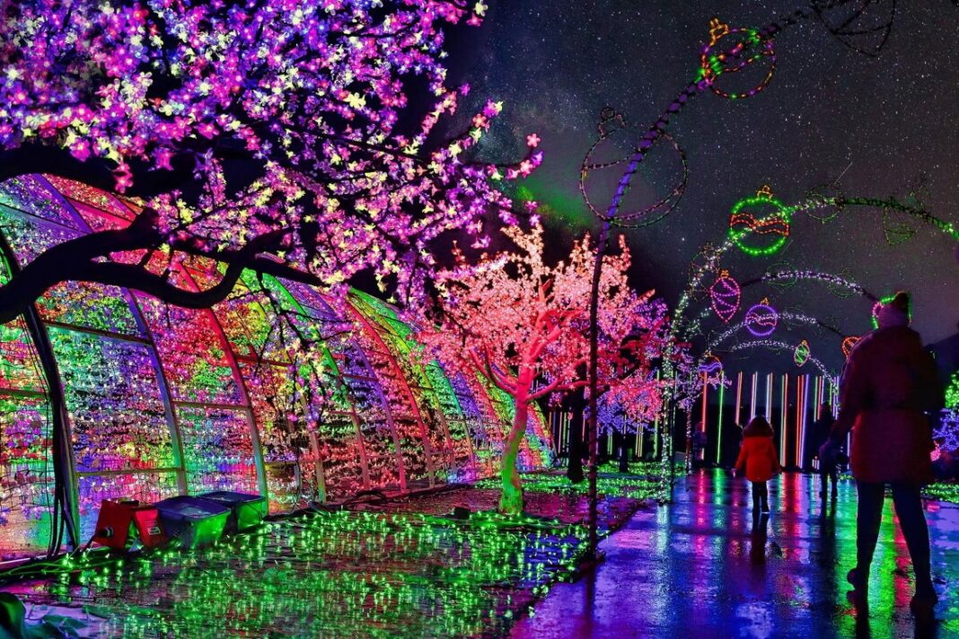 1201-night-of-lights-toronto