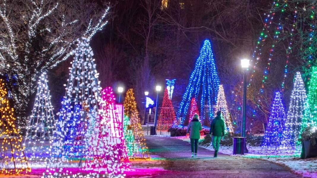 2.-Winter-Festival-of-Lights