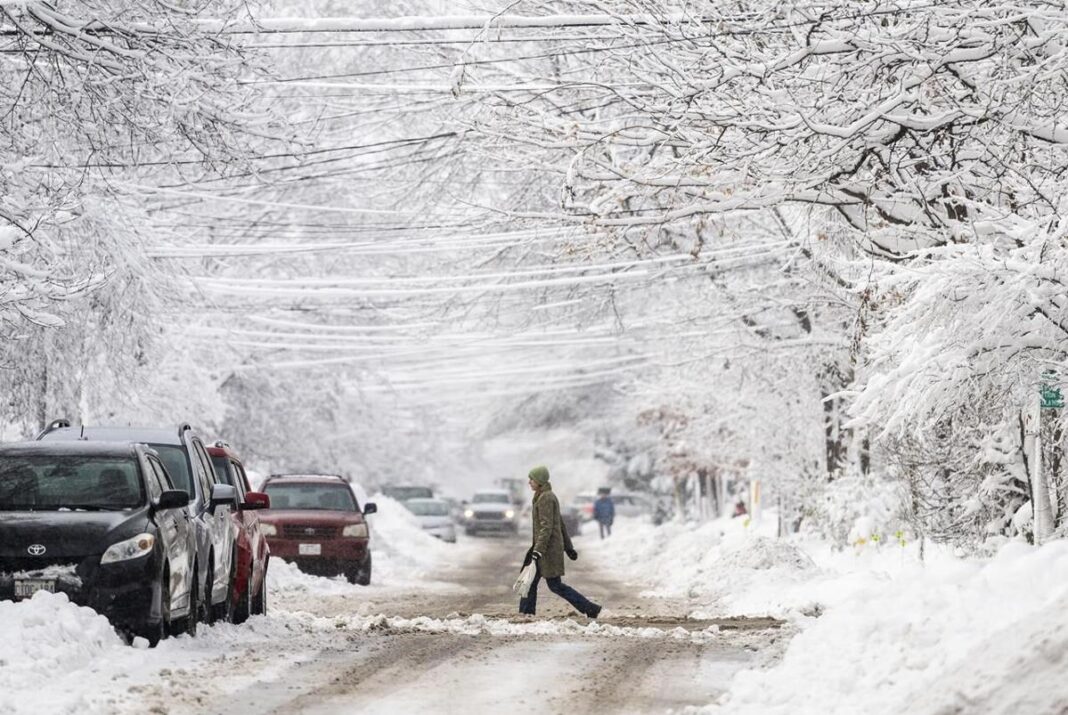 winter