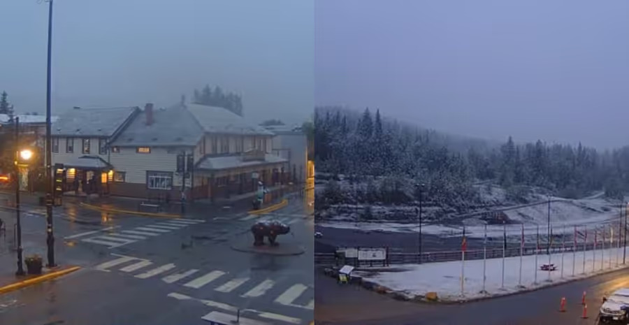 Snow-Alberta