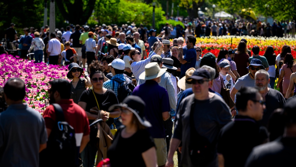 canada-s-population