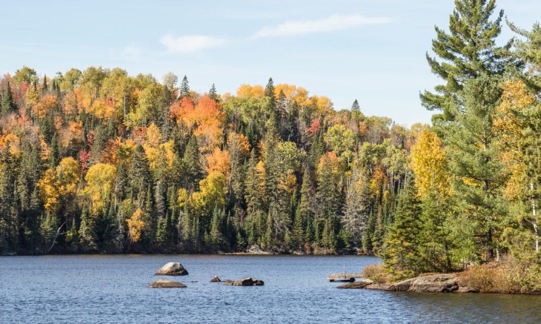 4.-Haliburton_CA