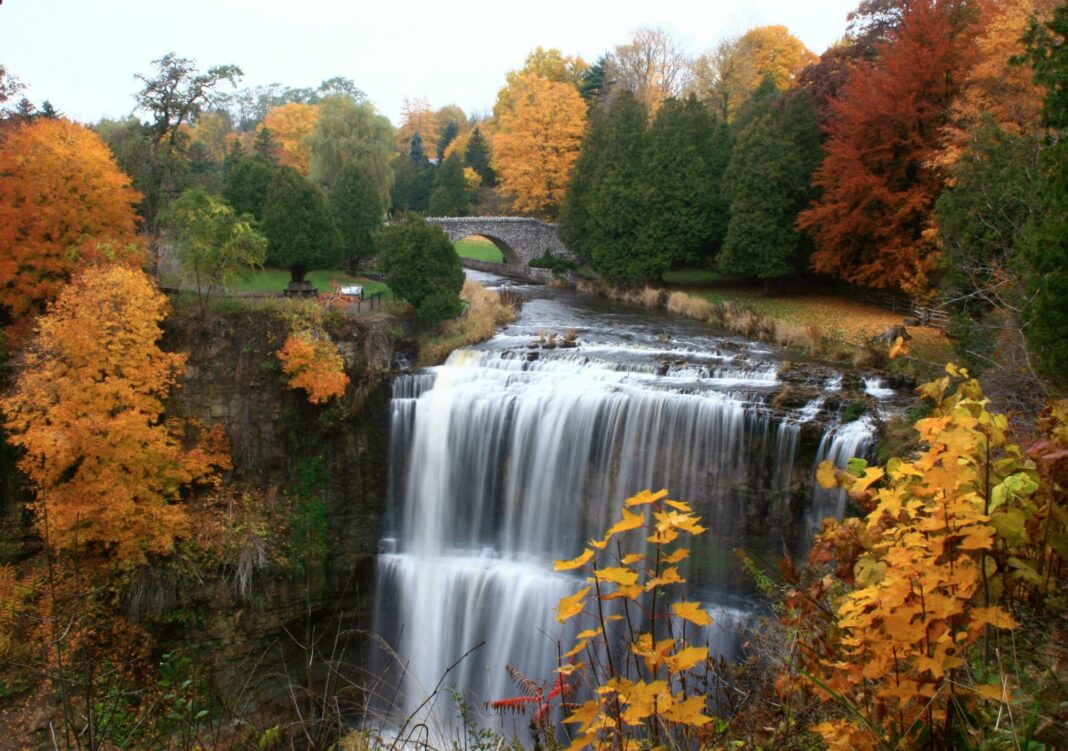 1. Webster Falls