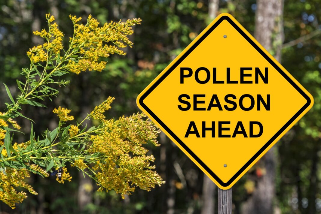 Polllen Season Ahead Warning